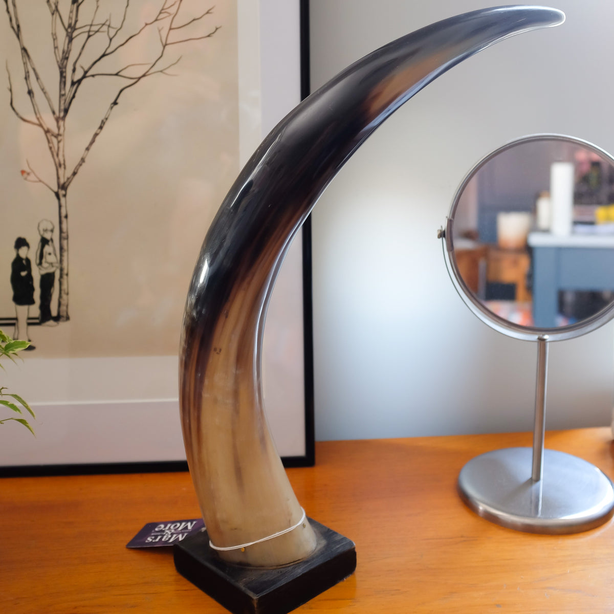 Fabulous Bison Horn