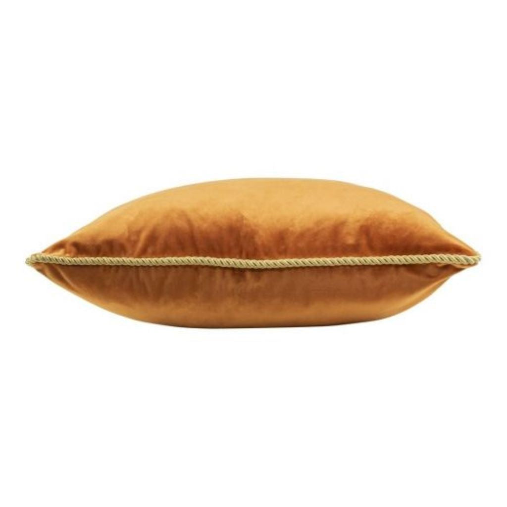 Plush Velvet Cushion