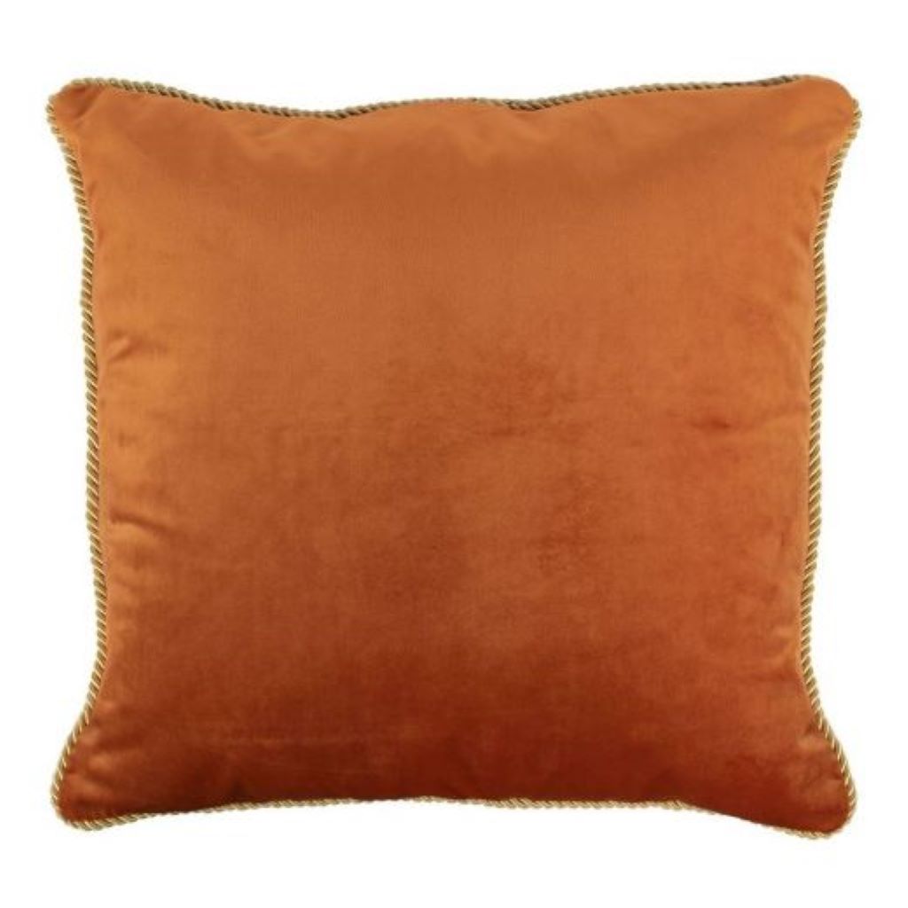 Plush Velvet Cushion