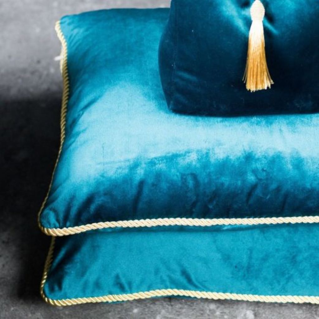 Plush Velvet Cushion