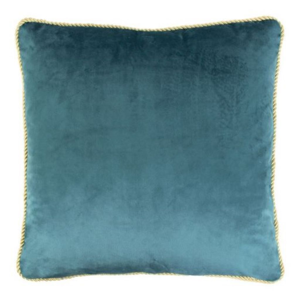 Plush Velvet Cushion